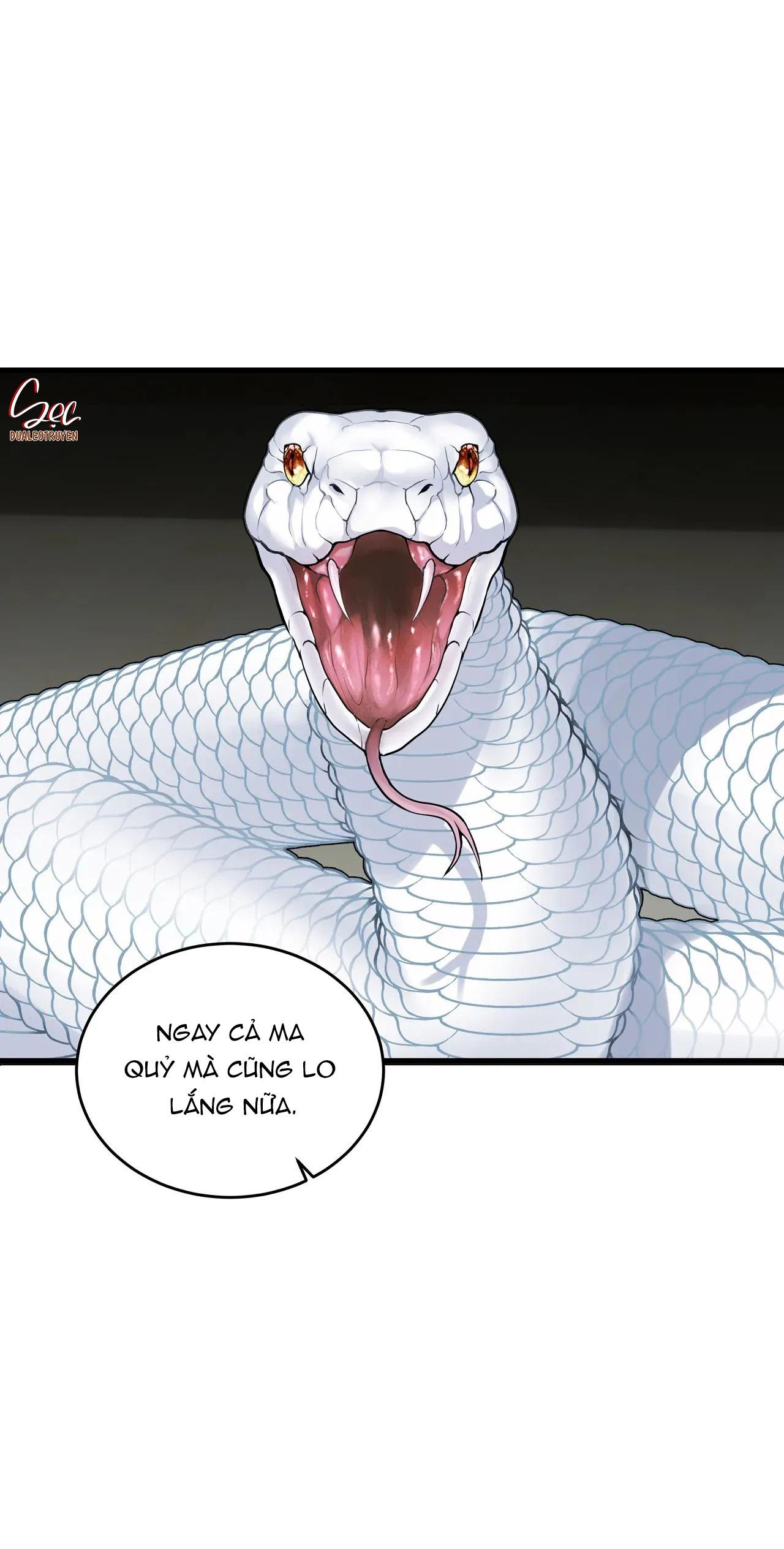 Đọc truyện ÂN NHÂN CỦA RẮN - Chapter 27