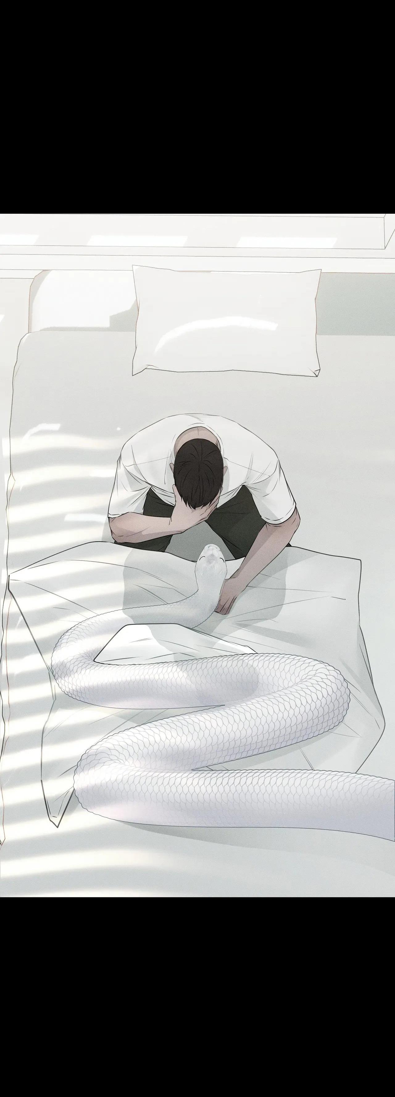 Đọc truyện ÂN NHÂN CỦA RẮN - Chapter 27