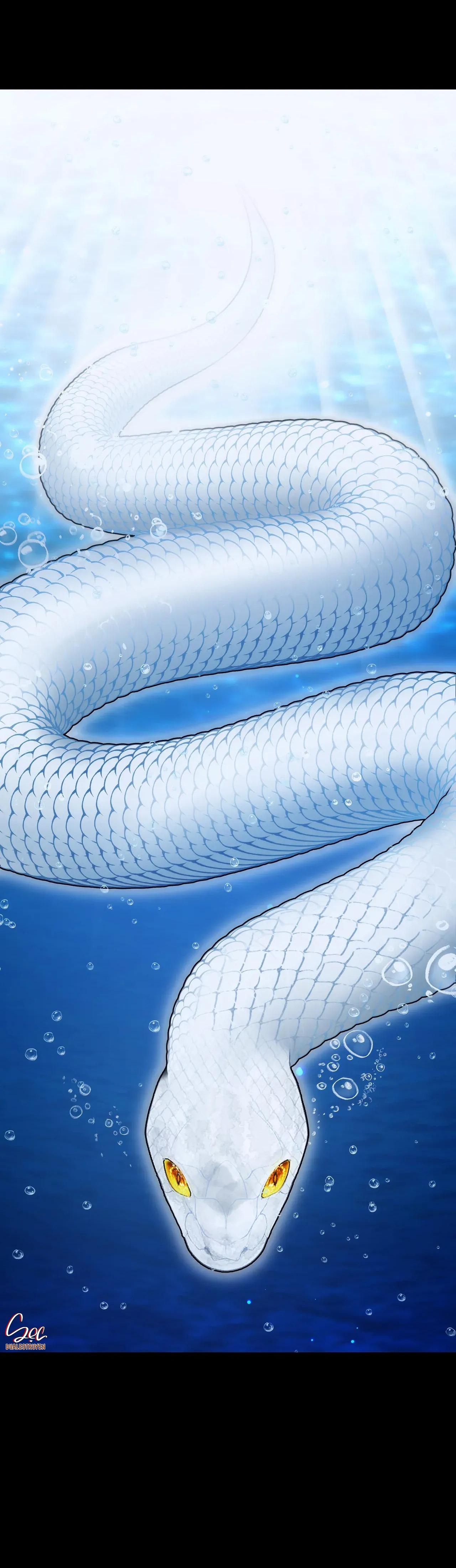 Đọc truyện ÂN NHÂN CỦA RẮN - Chapter 27