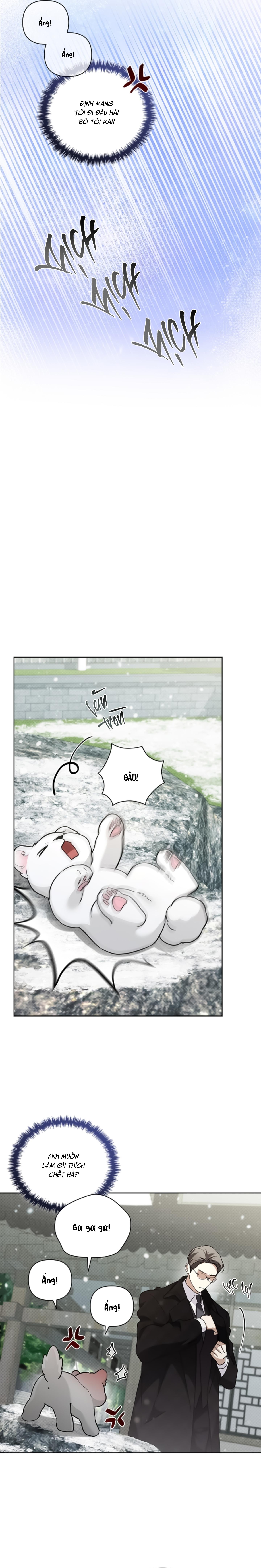 Đọc truyện ĐỪNG CHẠM VÀO CÚN CON CỦA TÔI - Chapter 36