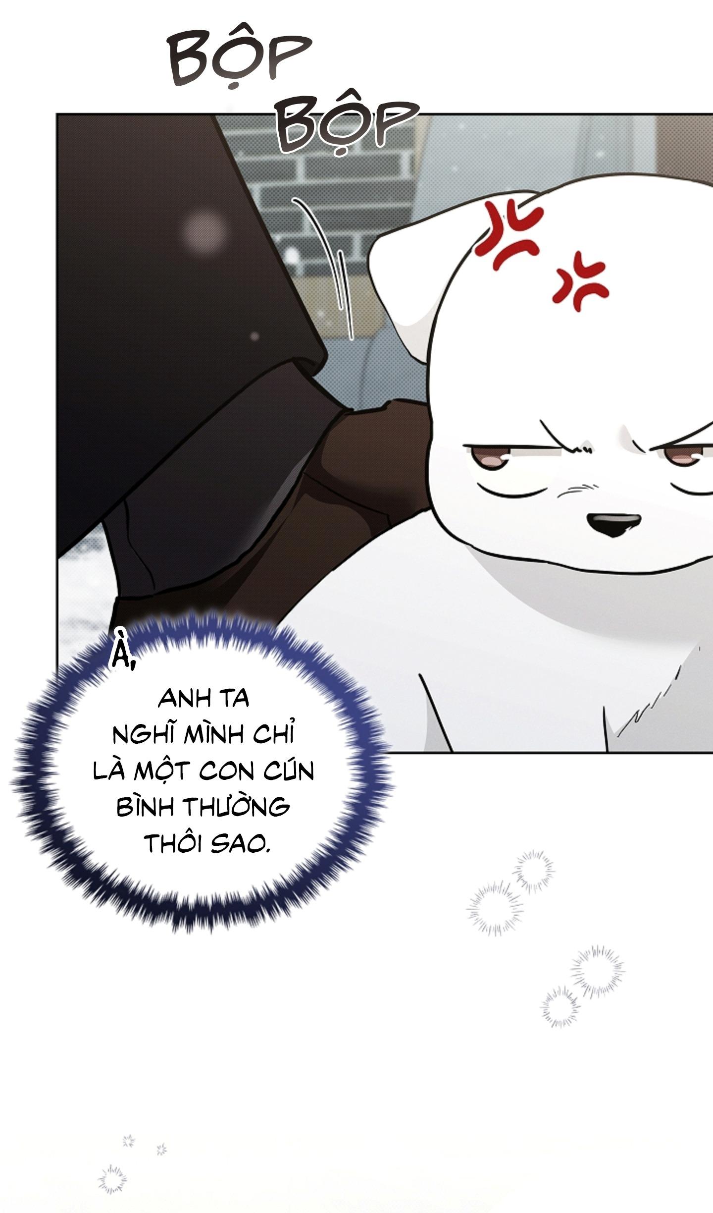 Đọc truyện ĐỪNG ĐỘNG VÀO CÚN CON! - Chapter 36