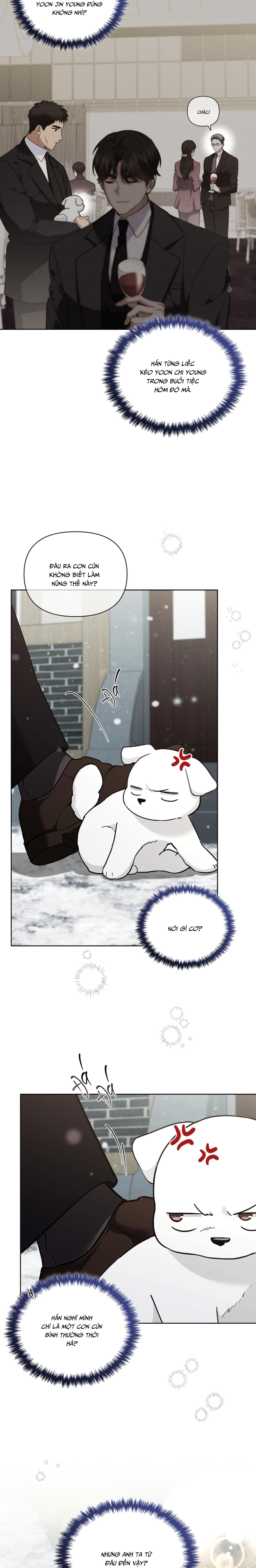 Đọc truyện ĐỪNG CHẠM VÀO CÚN CON CỦA TÔI - Chapter 36