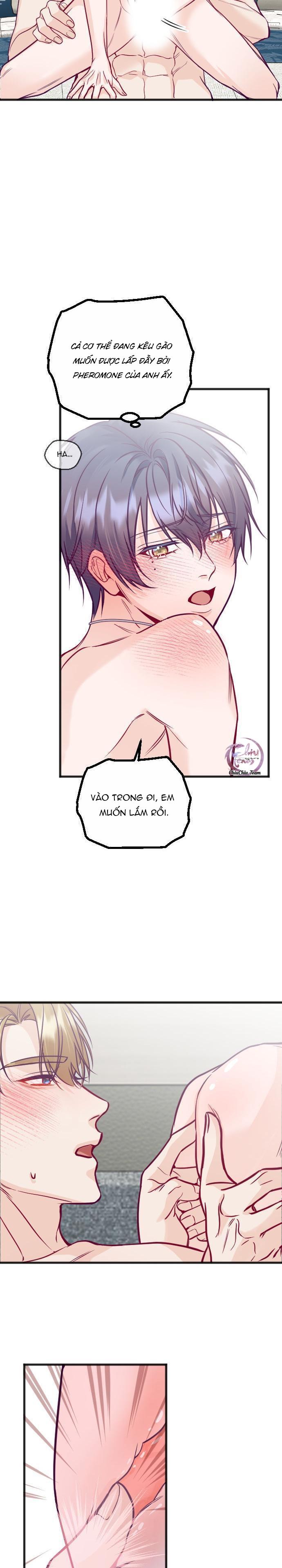 Đọc truyện Người Tình Thế Thân Của Alpha - Chapter 15